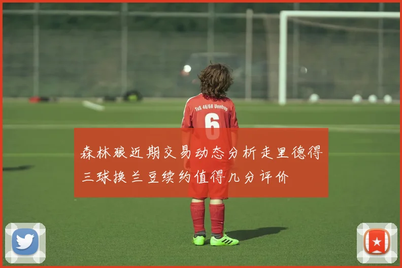 森林狼近期交易动态分析走里德得三球换兰豆续约值得几分评价