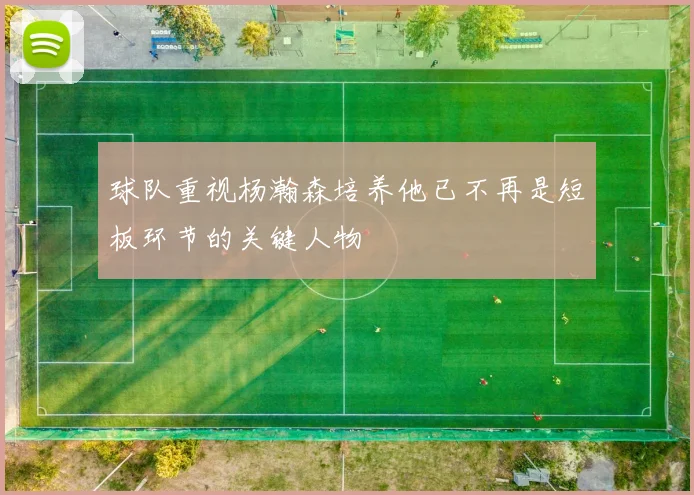 球队重视杨瀚森培养他已不再是短板环节的关键人物